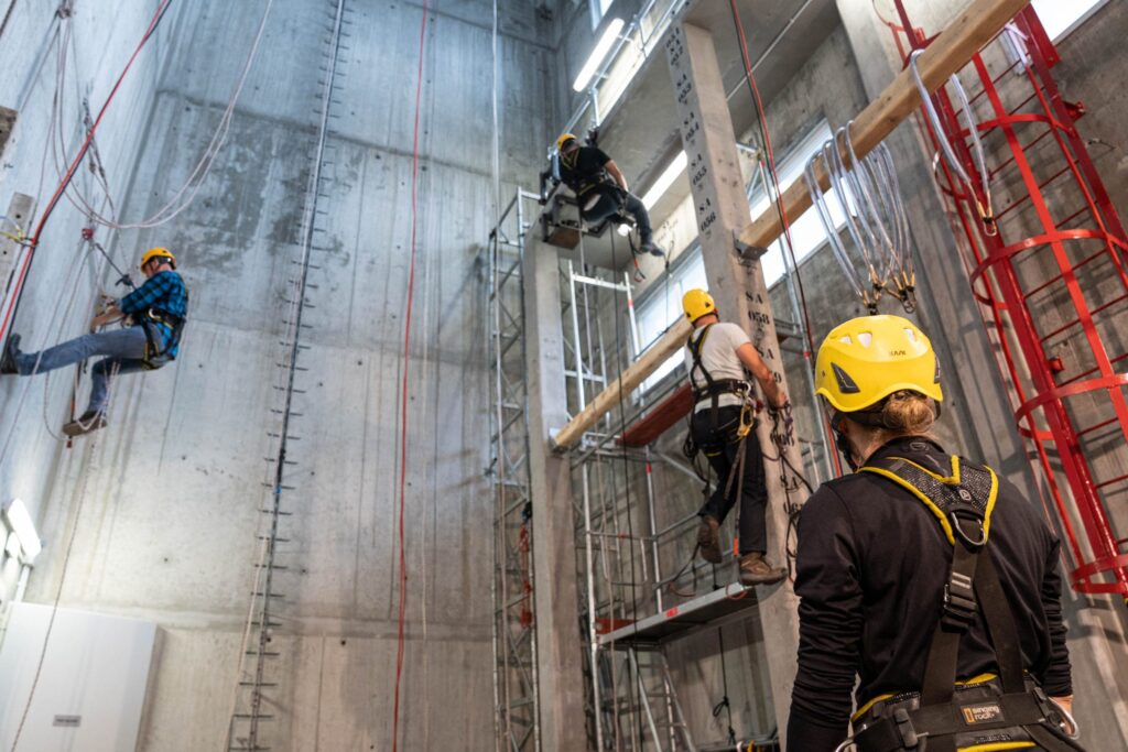 Szkolenie grupowe z liderem prezentującym materiał